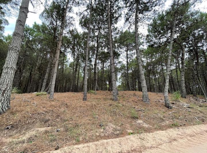 Terreno · 1120m²