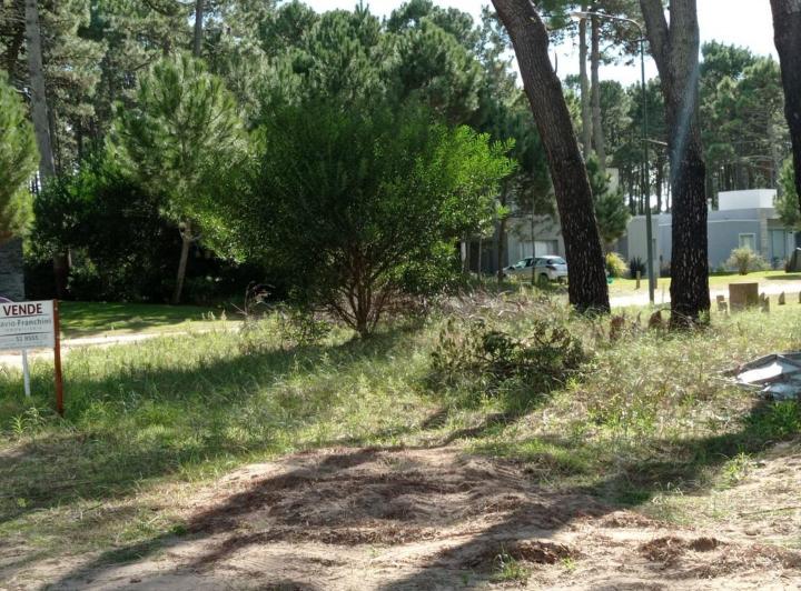 Terreno · 767m²