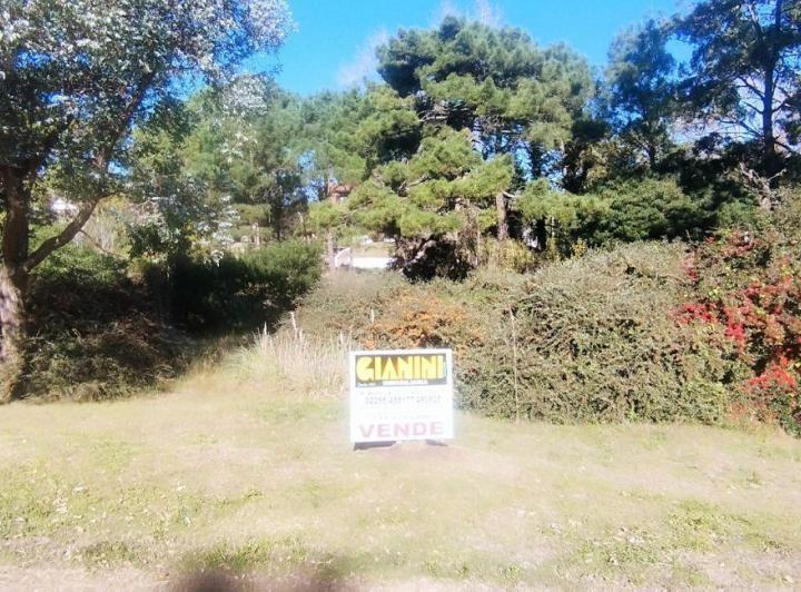 Terreno · 1138m²
