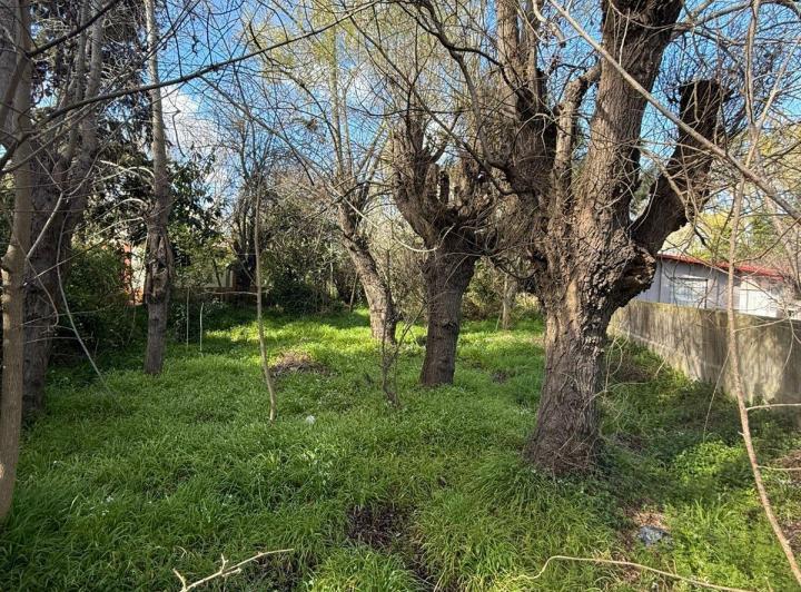 Terreno · 448m²