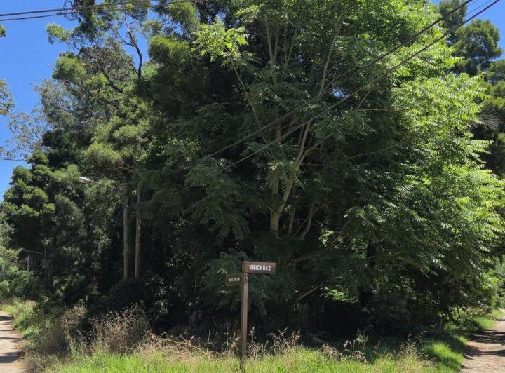 Terreno · 421m²
