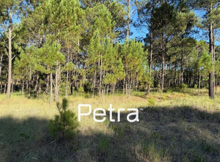 Terreno · 1037m²
