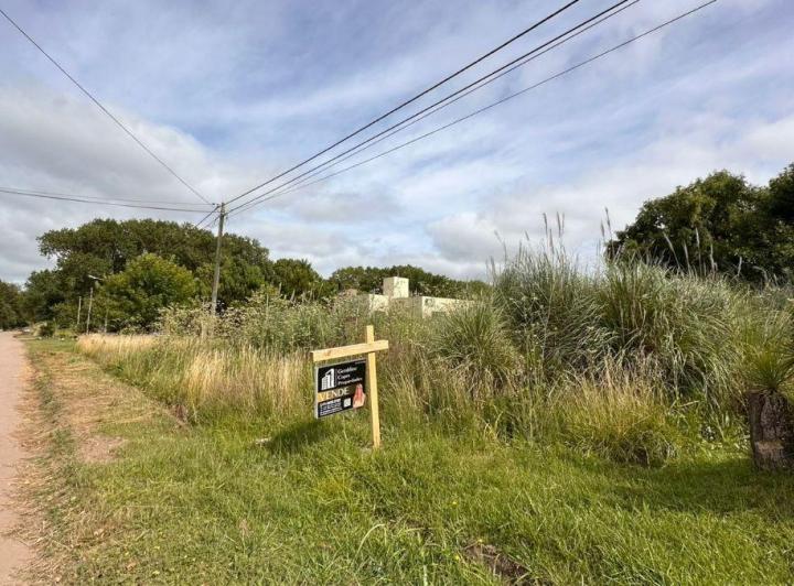 Terreno · 555m²