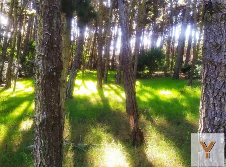 Terreno · 450m²