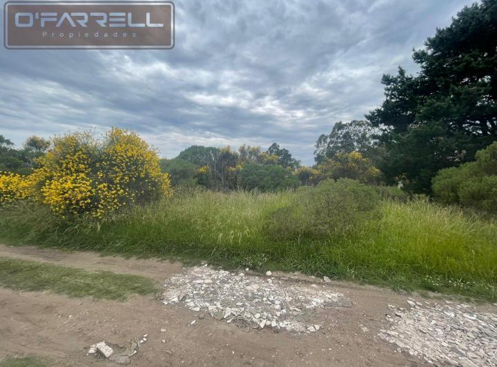 Terreno · 201m²
