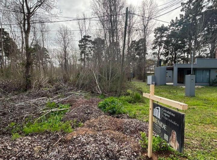Terreno · 555m²