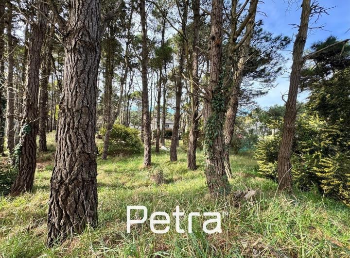 Terreno · 880m²