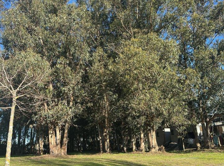 Terreno · 842m²
