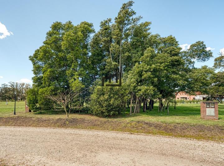 Terreno · 806m²