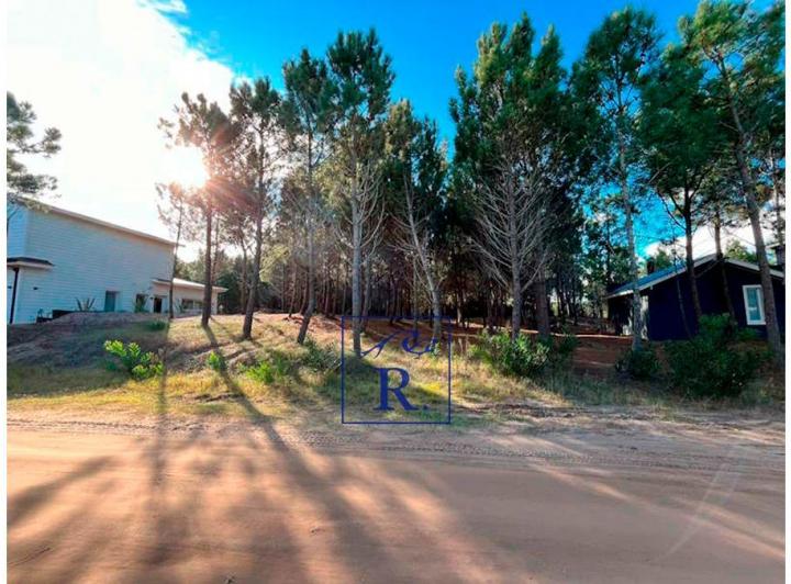 Terreno · 1000m²