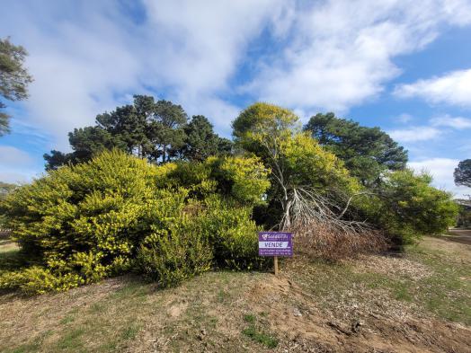 Terreno · 495m²