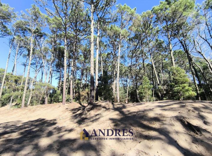Terreno · 932m²