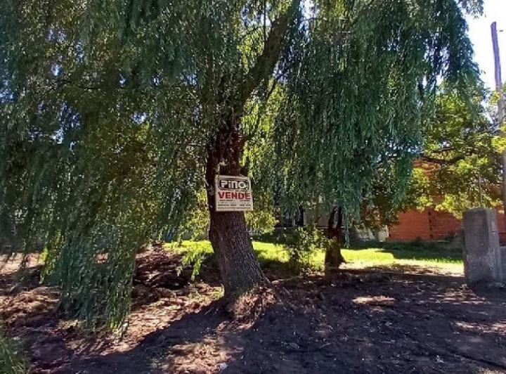 Terreno · 300m²
