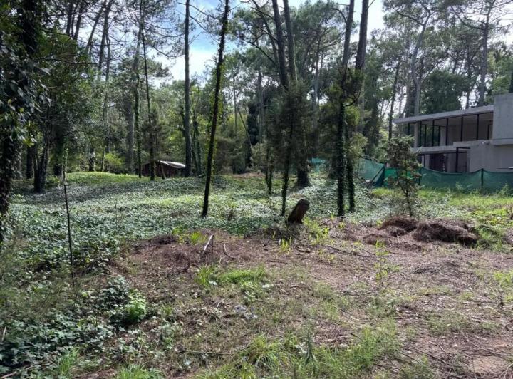 Terreno · 1030m²