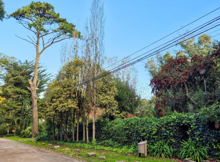 Terreno · 450m² · 2 Ambientes · 3 Cocheras