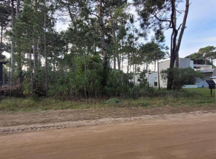 Terreno · 1395m²