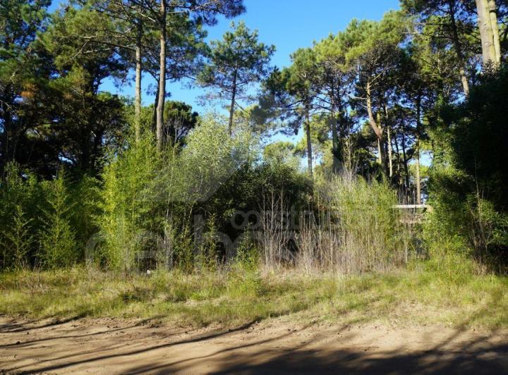 Terreno · 1020m²