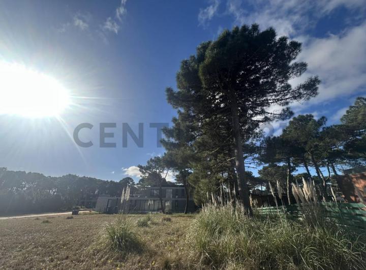 Terreno · 745m²