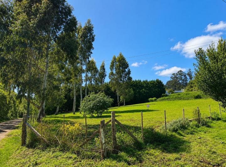 Terreno · 1007m²