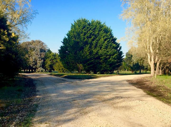 Terreno · 3299m²