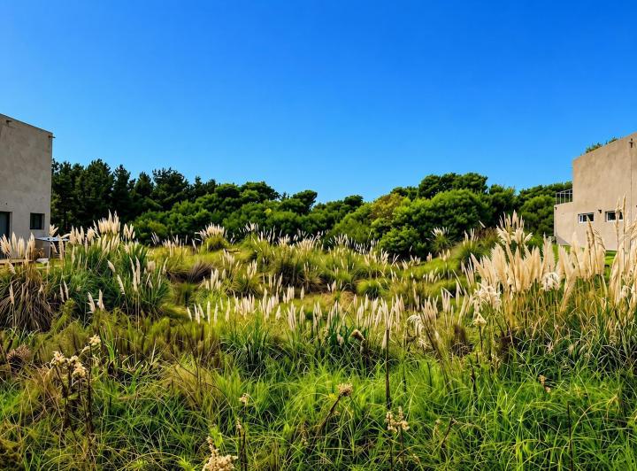 Terreno · 1217m²