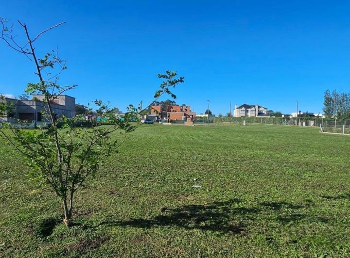 Terreno · 726m²