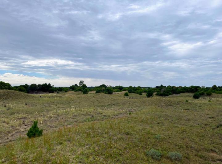 Terreno · 71798m²