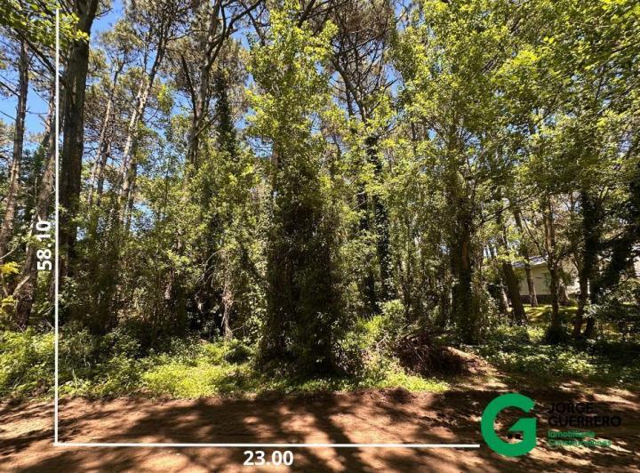 Terreno · 1256m²