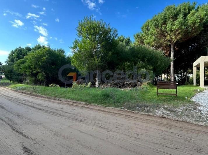Terreno · 1017m²