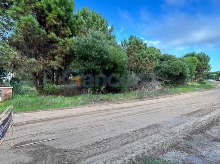 Terreno · 1017m²