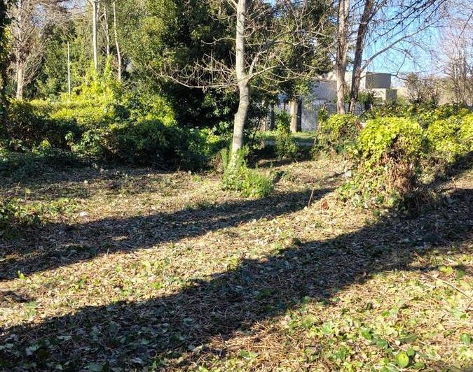 Terreno · 590m²