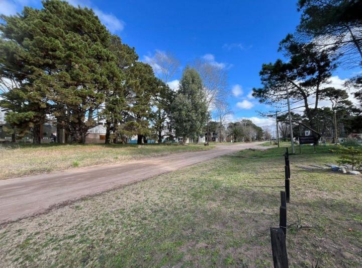 Terreno · 555m²