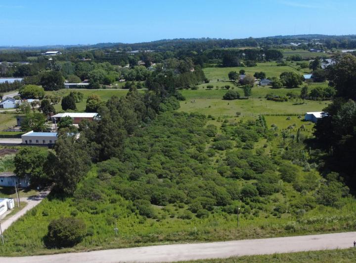 Terreno · 12250m²