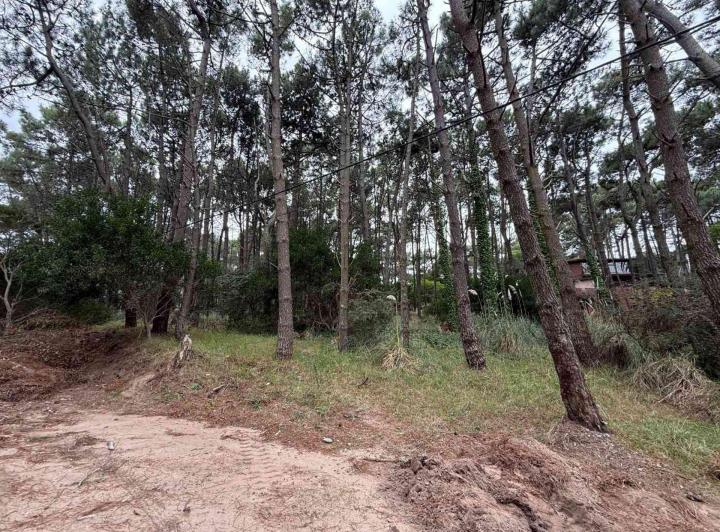 Terreno · 4691m²