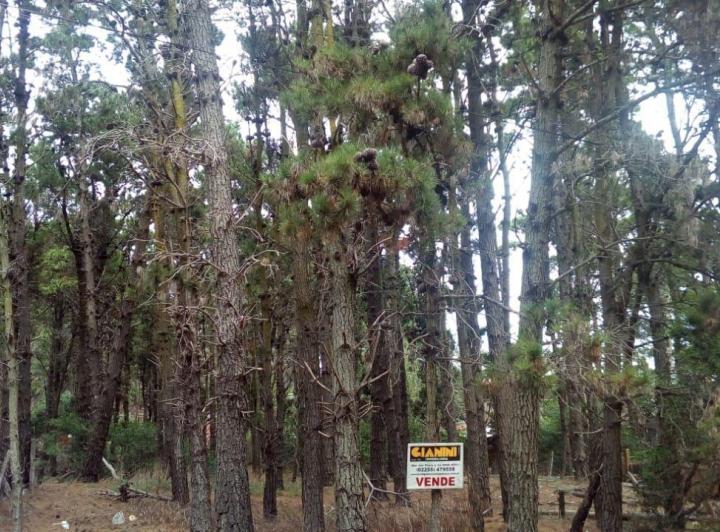 Terreno · 475m²