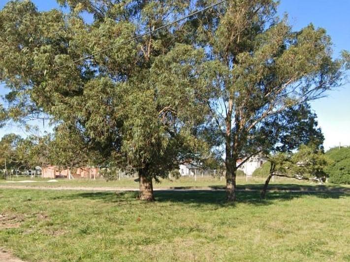 Terreno · 1272m²