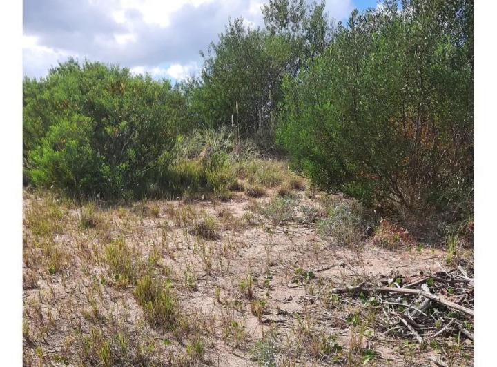 Terreno · 967m²
