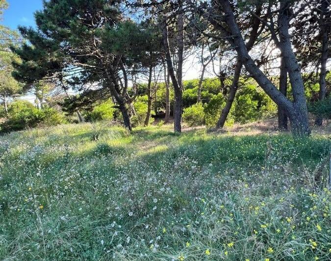 Terreno · 2400m²