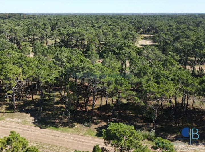 Terreno · 1037m²