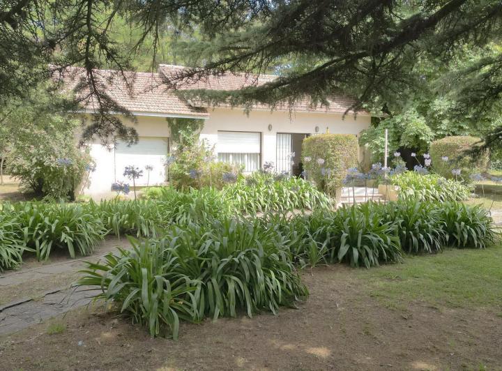 Terreno · 12000m²