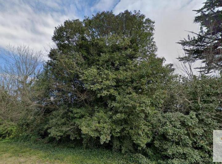 Terreno · 1084m²