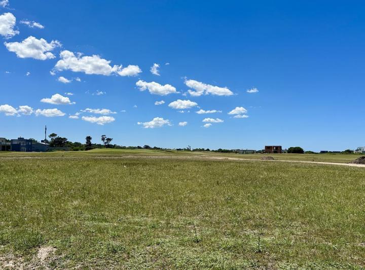 Terreno · 1132m²