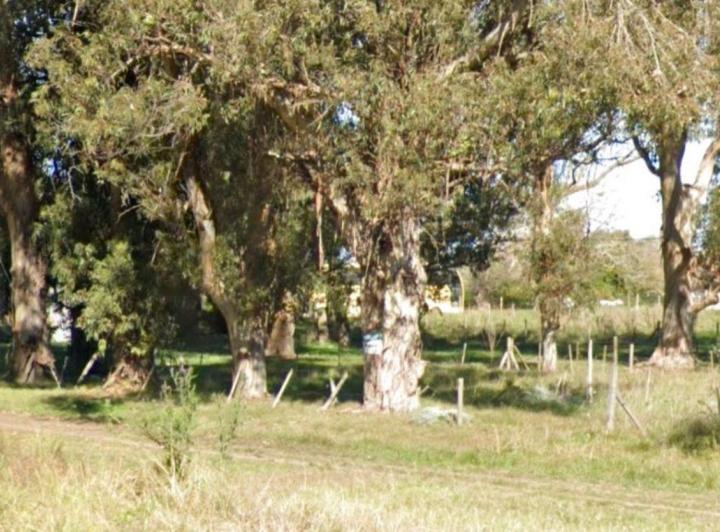 Terreno · 211m²