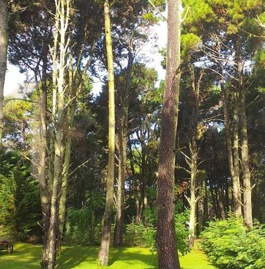 Terreno · 700m²