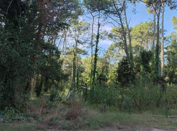 Terreno · 1030m²