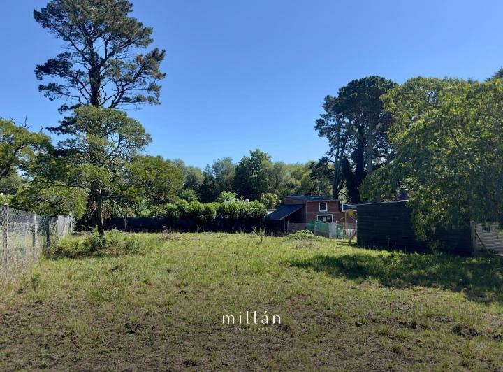 Terreno · 740m²