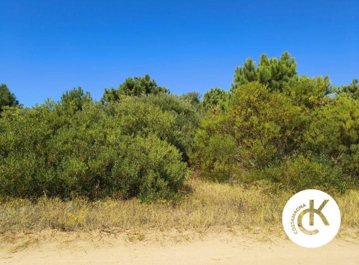 Terreno · 988m²