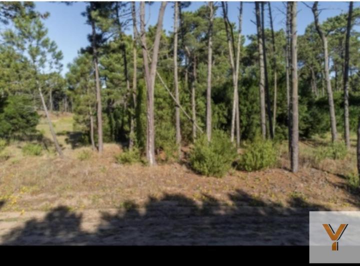 Terreno · 1040m²
