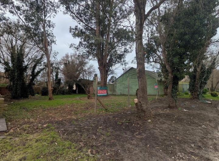 Terreno · 344m²