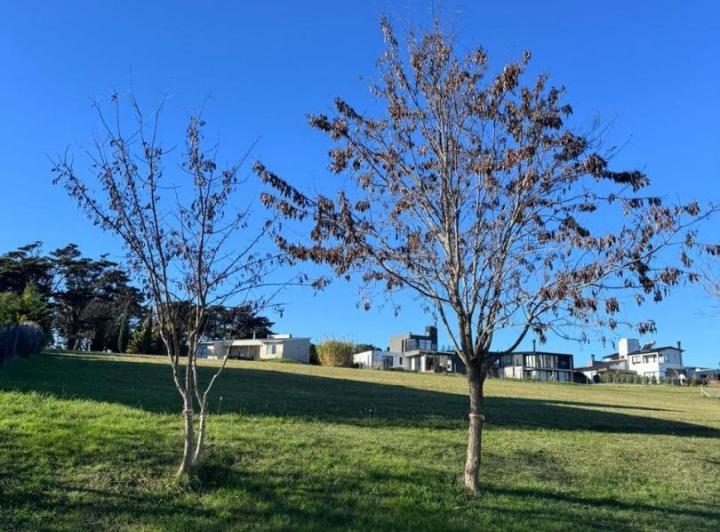 Terreno · 1000m²